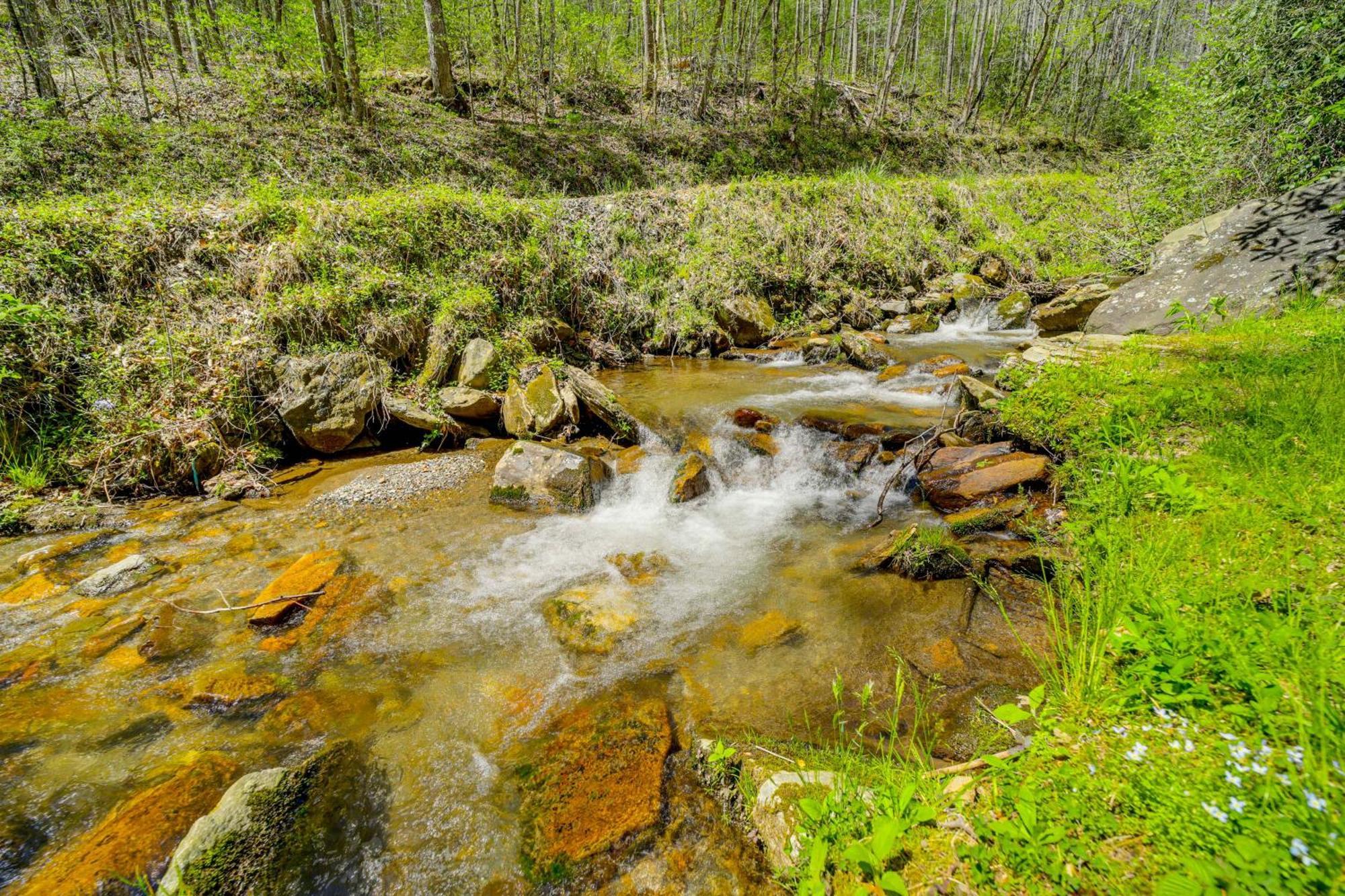 Creekside Whittier Cabin With Fire Pit Near Hiking! Eksteriør bilde